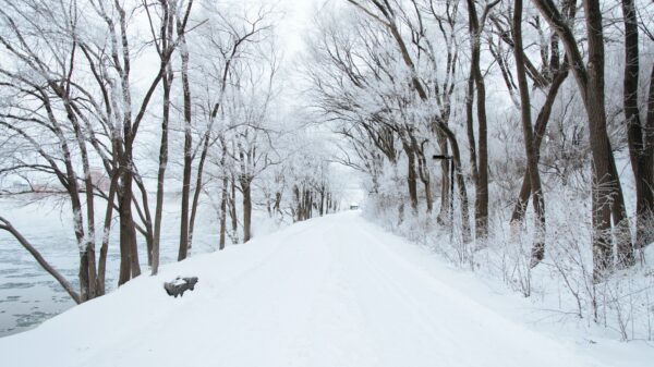 neve montagne inverno