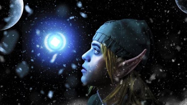 The Legend of Zelda Echoes guarda avanti