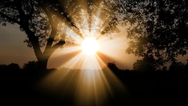 Sotto il Sole vincente gratta e vinci