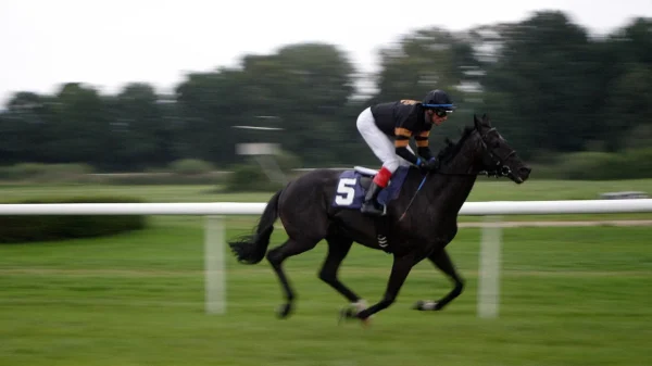 Ippica cavalli