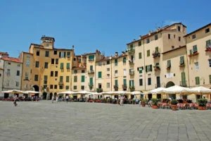 50X NEW vinto a Lucca