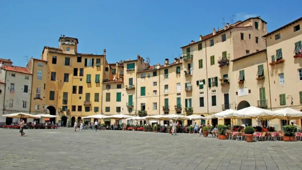 50X NEW vinto a Lucca