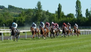 Premio Verziere San Siro